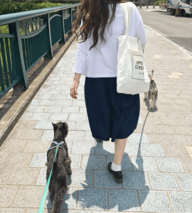 ペットと散歩する女性